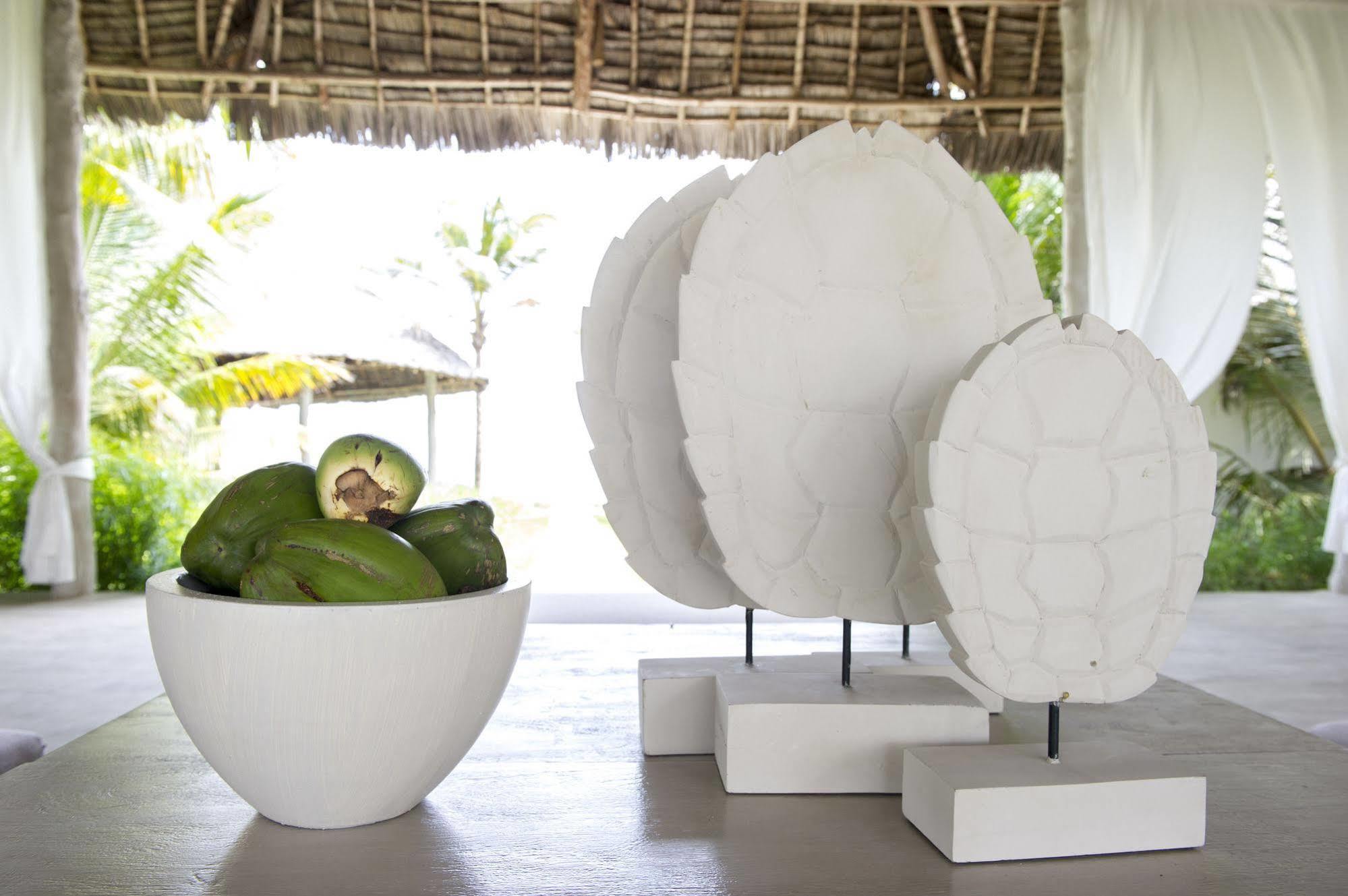 Zawadi Hotel, Zanzibar Michamvi エクステリア 写真